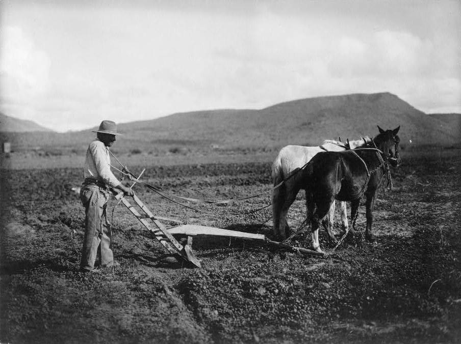 Sacaton Indian Reservation, early 1900s. Library of Congress