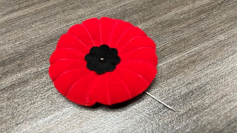 This year's Remembrance Day poppies are biodegradable for the 1st time |  CBC News