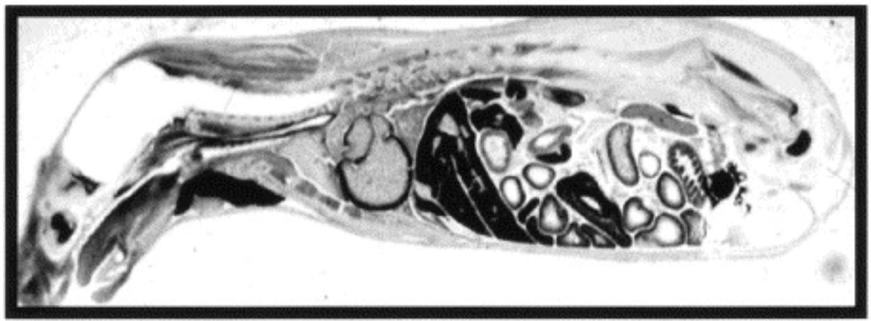 A close-up of a human body

Description automatically generated