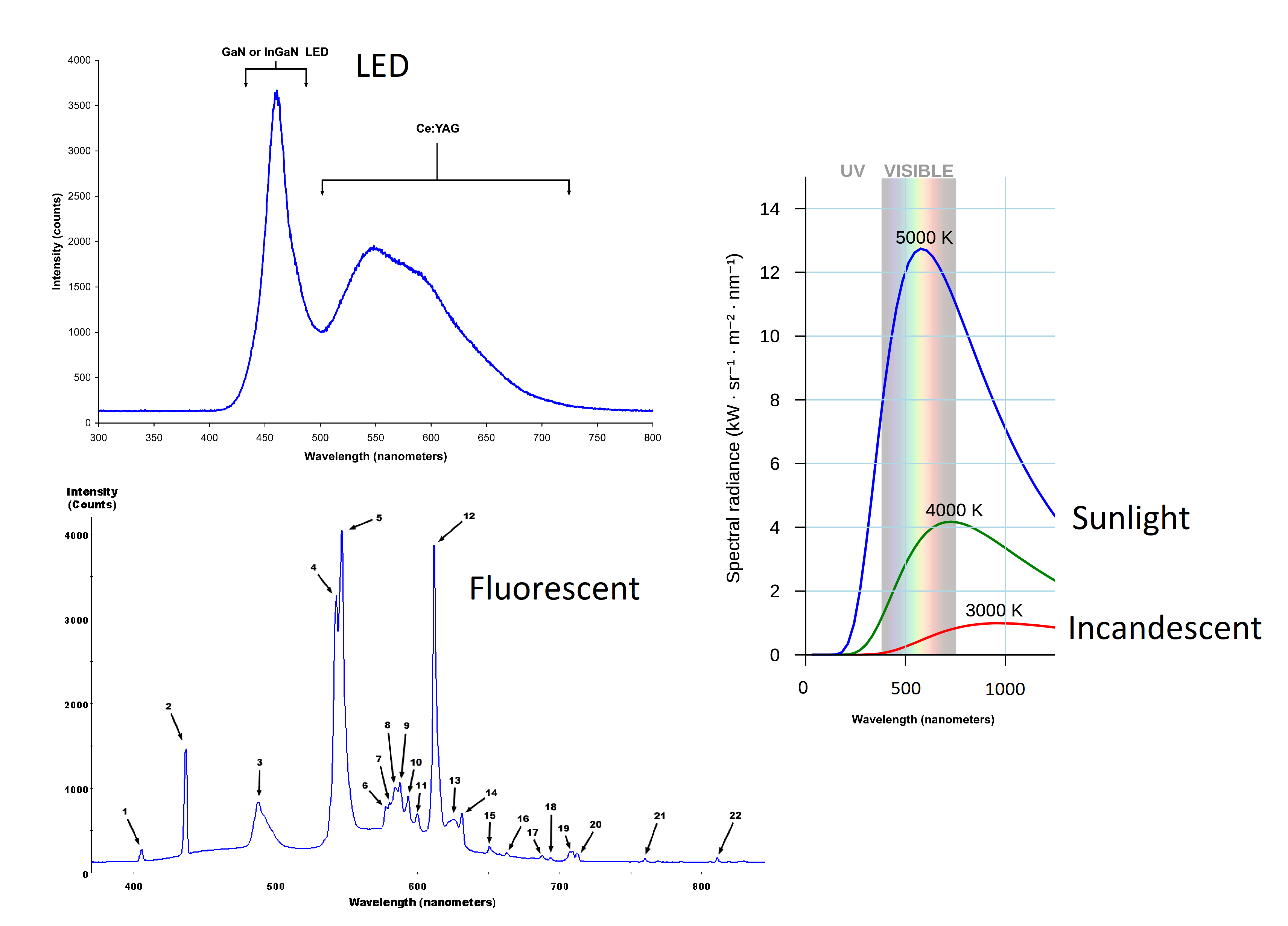 Spectra of different light sources